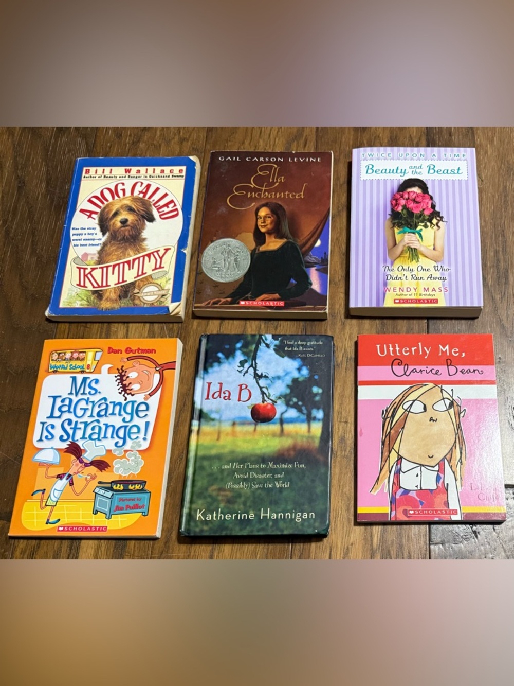 Bundle of 6 Kid’s Chapter Books, All Reading Levels